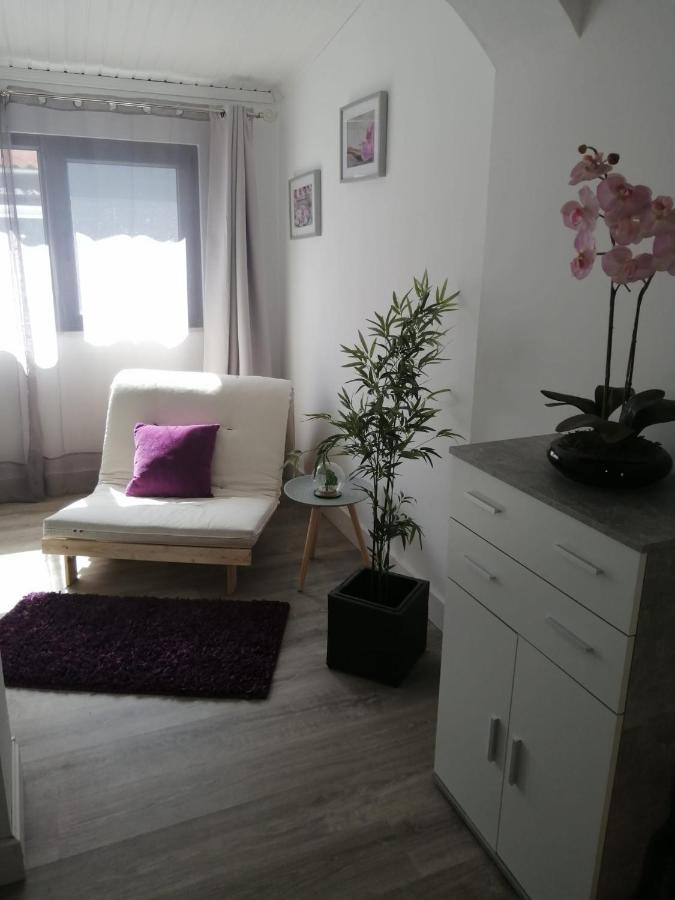 The Violet House Villa Costa Nova Kültér fotó