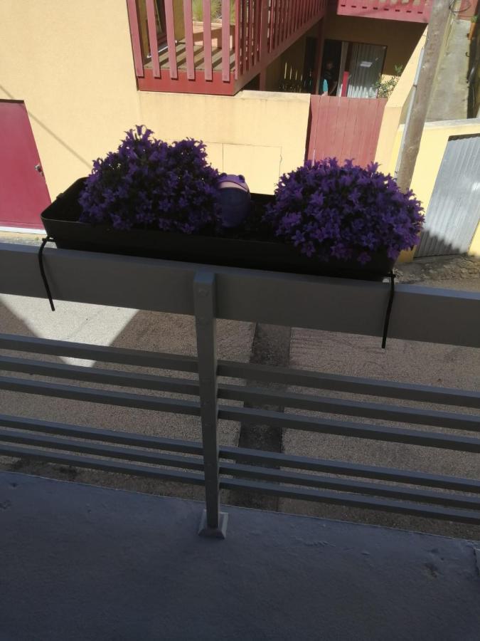 The Violet House Villa Costa Nova Kültér fotó